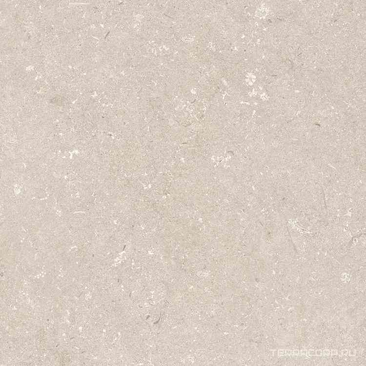 Shellstone Beige 120x120