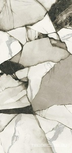 Керамогранит Del Conca Boutique Bloom Shine Rett. 120x120 Комбинированный 