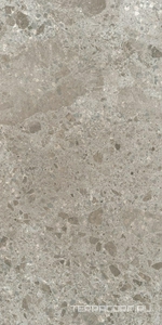 Керамогранит Ariostea Fragmenta Grigio Luminoso Strutturato 60x120 Серый 