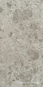Керамогранит Ariostea Fragmenta Grigio Luminoso Strutturato 60x120 Серый 