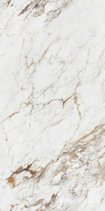 Керамогранит Artecera Marble Collection Grazia Digital Glazed 60x120 Комбинированный 