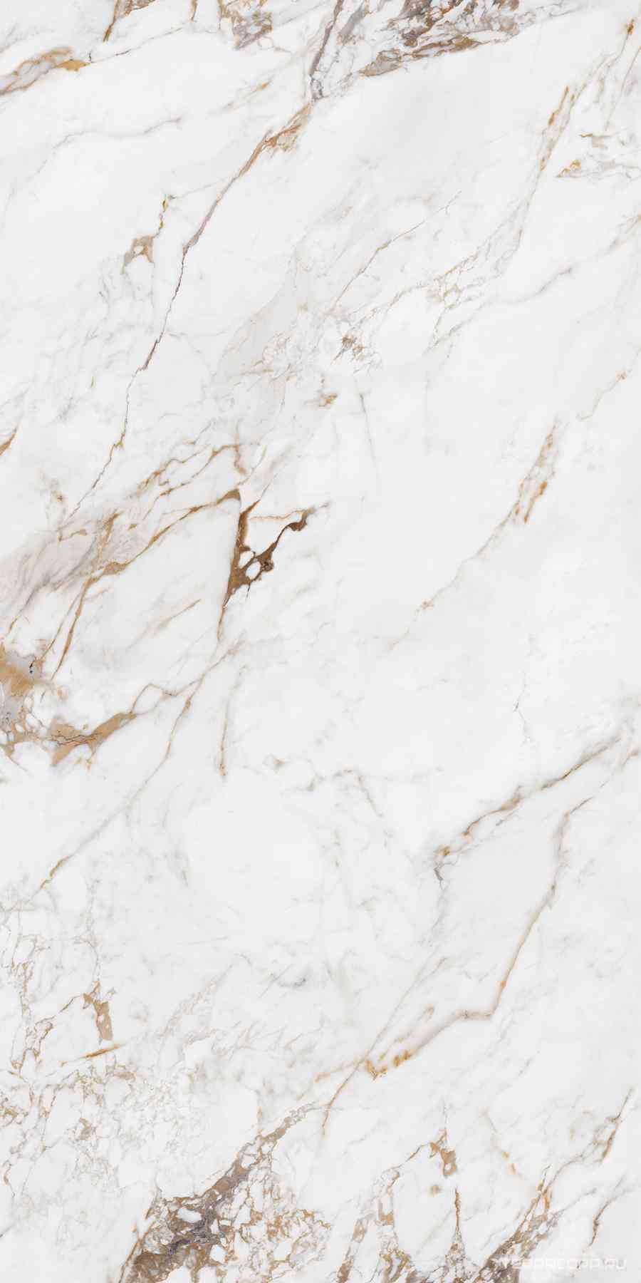 Grazia Digital Glazed 60x120