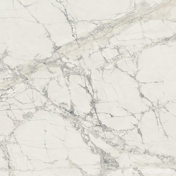 Керамогранит REX Prexious of REX Mountain Treasure Glossy 80x80 Белый, фото 3