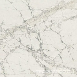 Mountain Treasure Glossy XX 80x80