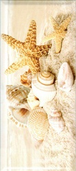 Декор Seashells (крупные) XX20x45