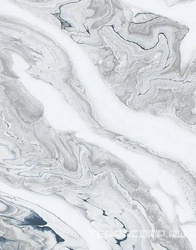 Керамогранит Alpas Euro Glamorous Collection Portia Pol.XX60x120 Серый 