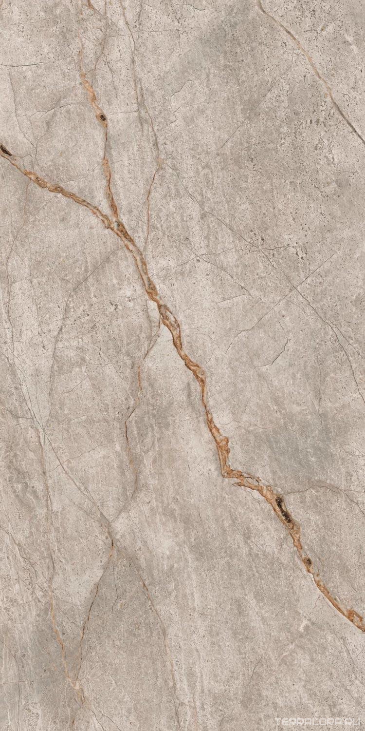 Керамогранит AtlasConcorde Россия EMPIRE Empire Silver Root Rett 60x120 Lapp/ЭМПАИР СИЛЬВЕР РУТ РЕТ 60x120 ЛАП Серый, фото 5