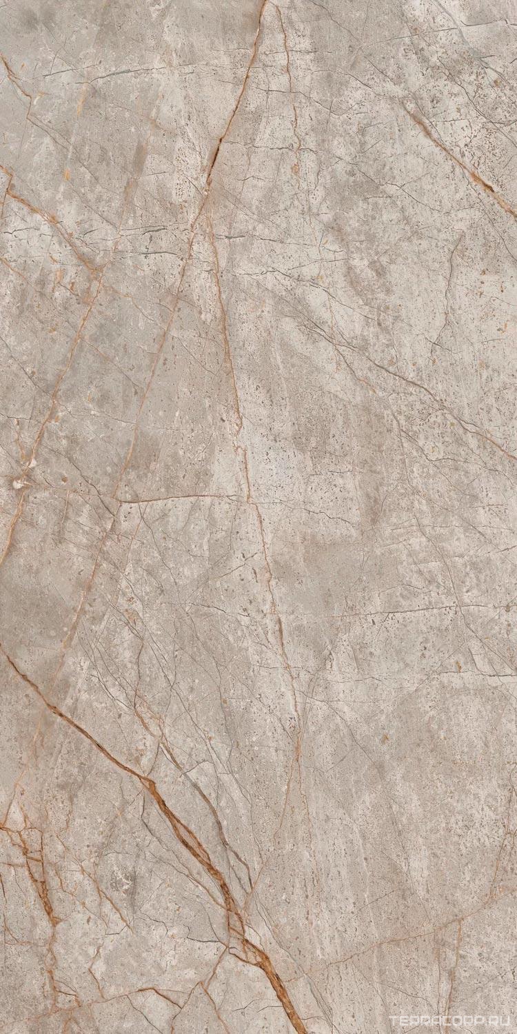 Керамогранит AtlasConcorde Россия EMPIRE Empire Silver Root Rett 60x120 Lapp/ЭМПАИР СИЛЬВЕР РУТ РЕТ 60x120 ЛАП Серый, фото 7