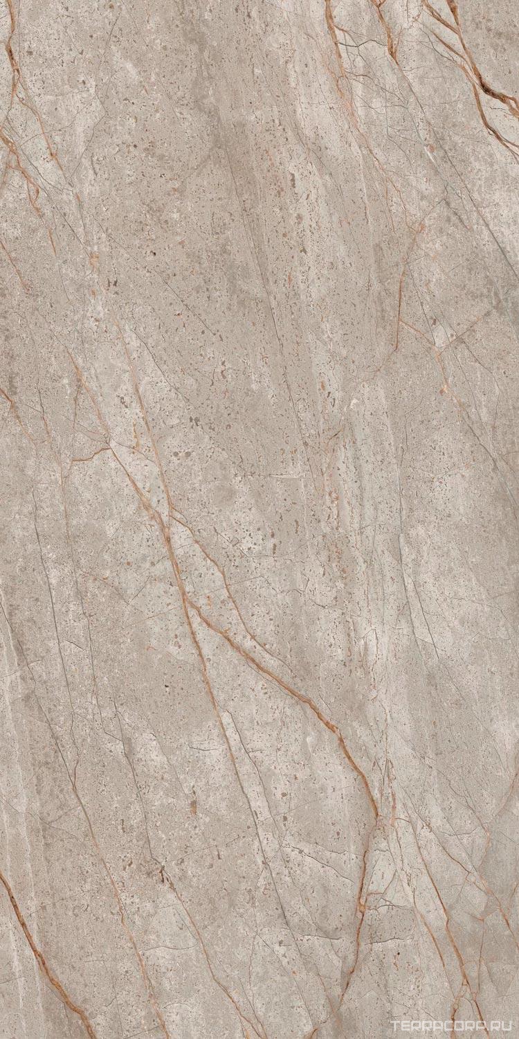 Керамогранит AtlasConcorde Россия EMPIRE Empire Silver Root Rett 60x120 Lapp/ЭМПАИР СИЛЬВЕР РУТ РЕТ 60x120 ЛАП Серый, фото 3