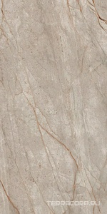 Керамогранит AtlasConcorde Россия EMPIRE Empire Silver Root Rett 60x120 Lapp/ЭМПАИР СИЛЬВЕР РУТ РЕТ 60x120 ЛАП Серый 