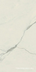 Керамогранит AtlasConcorde Россия EMPIRE Empire Statuario 60x120/ЭМПАИР СТАТУАРИО 60x120 Белый 