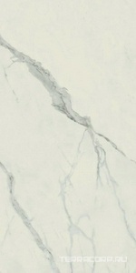 Керамогранит AtlasConcorde Россия EMPIRE Empire Statuario 60x120/ЭМПАИР СТАТУАРИО 60x120 Белый 
