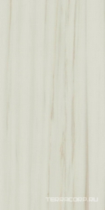 Керамогранит AtlasConcorde Россия EMPIRE Empire Lasa 60x120/ЭМПАИР ЛАСА 60x120 Белый 