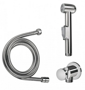 Гигиенический душ с душевым присоединением с держателем и шлангом, цв.хром ZZ AMPM Универсал F0202100