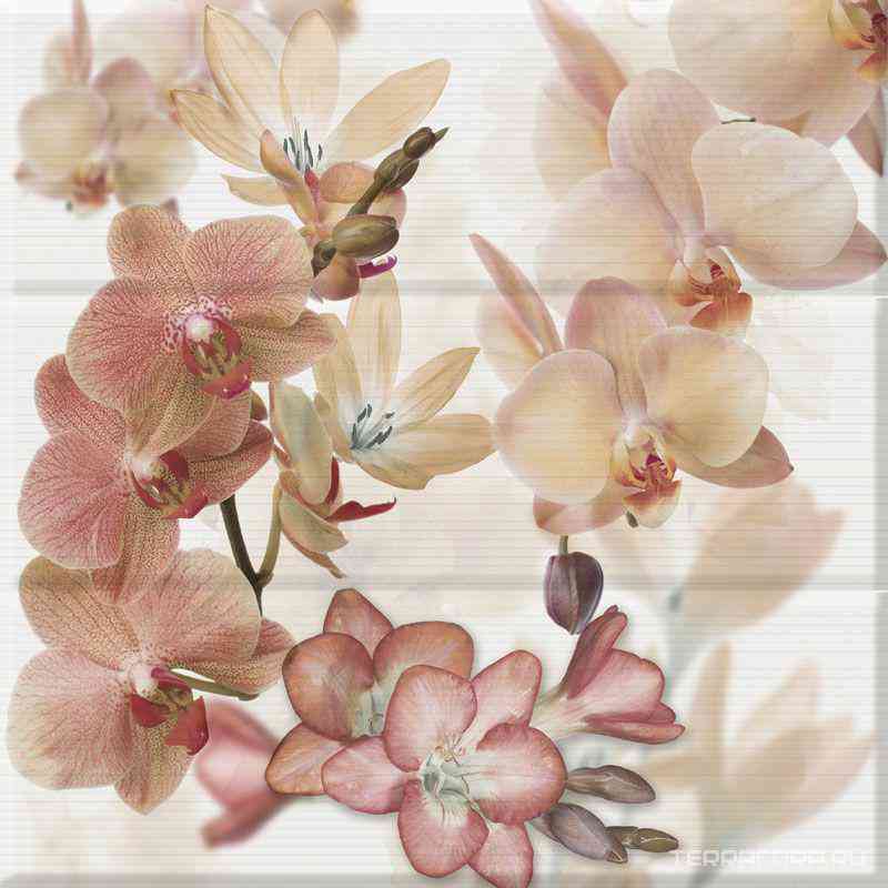 Comp. Orchides Marron XX |45x45