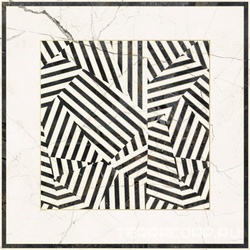 Zebra6 120LP  XX 120x120