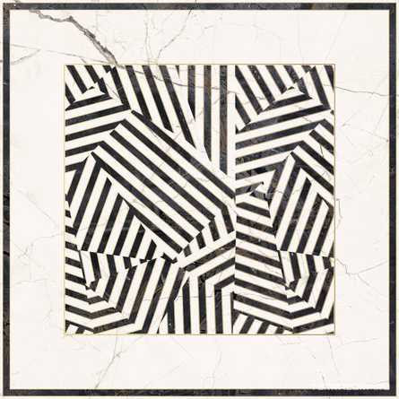 Zebra6 120LP  XX 120x120