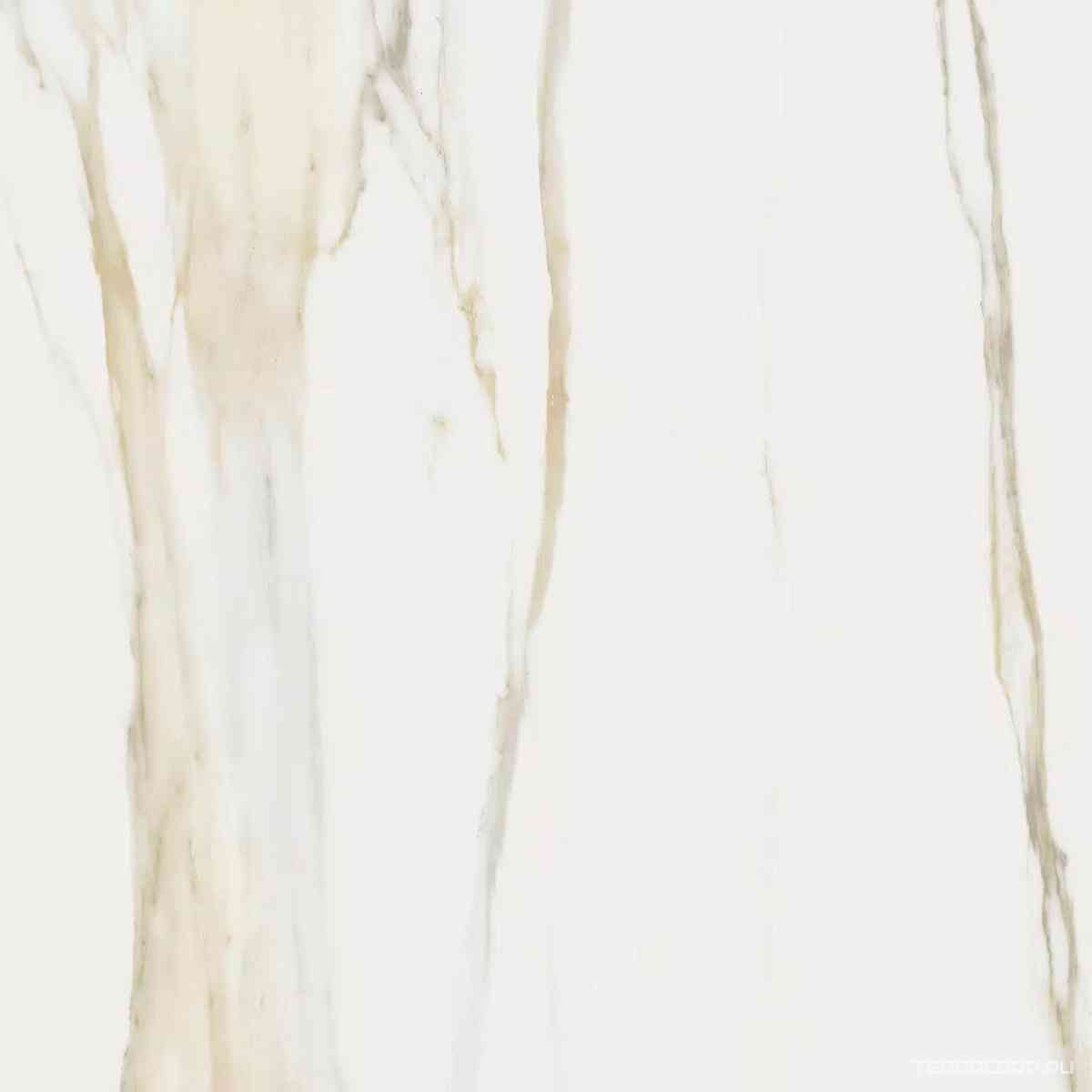 Сalacatta Gold Glossy ZZ 60х60