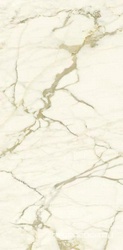 Calacatta Macchia Vecchia Lev Silk XX |30x60