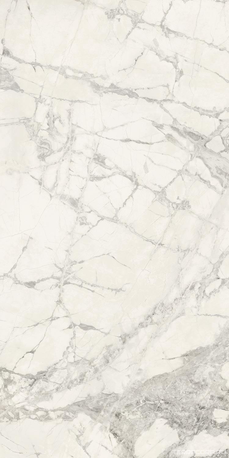 Керамогранит FMAX FMAX Gold River Snow glossy 90x180 Серый, фото 5