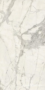 Керамогранит FMAX FMAX Gold River Snow glossy  90x180 Серый 