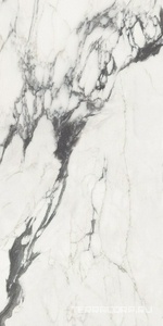 Керамогранит FMAX FMAX Michelangelo glossy 90x180 Серый 