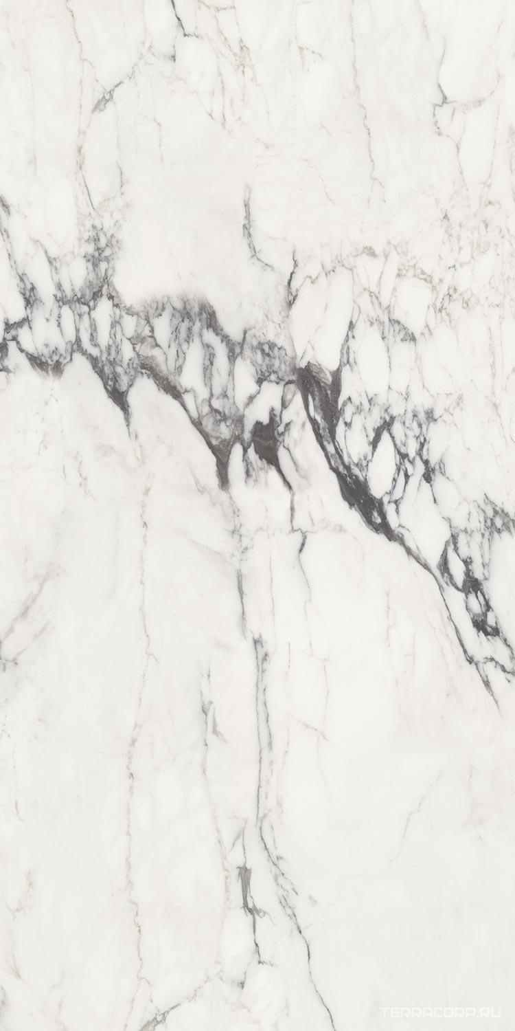 Керамогранит FMAX FMAX Michelangelo glossy 90x180 Серый, фото 4