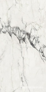 Керамогранит FMAX FMAX Michelangelo glossy 90x180 Серый 