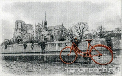 Декор Сириус Байк оранжевыйXX25х40