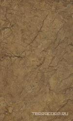 Rotterdam brown wall 02 XX|30x50