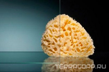 Закаленное стекло 6 мм 620*1870 прозрачное 6отв (ЗАПАСНАЯ), ZZ