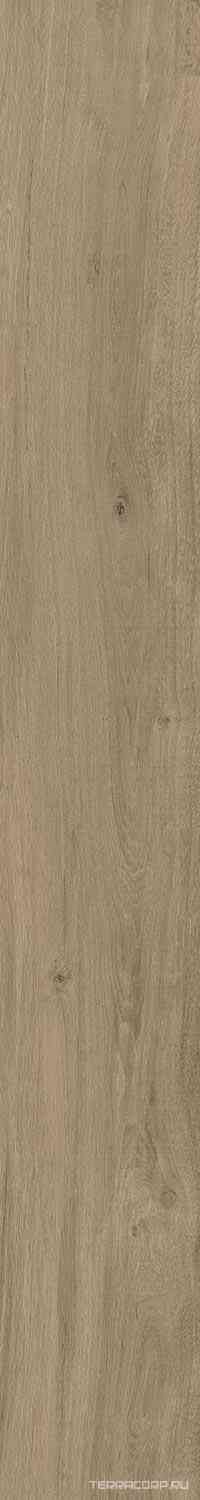 DAMA6 2015NO RM 20x150
