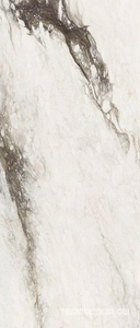 Керамогранит Florim Magnum Etoile De Rex Etoile Renoir Glossy 120x280 Серый 