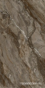 Керамогранит Fusure Ceramic Ariostocratic Style Light Luxury FSS12043 Pol 60x120 Коричневый 