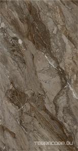 Керамогранит Fusure Ceramic Ariostocratic Style Light Luxury FSS12043 Pol 60x120 Коричневый 