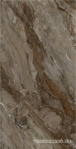 Керамогранит Fusure Ceramic Ariostocratic Style Light Luxury FSS12043 Pol 60x120 Коричневый 