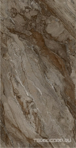 Керамогранит Fusure Ceramic Ariostocratic Style Light Luxury FSS12043 Pol 60x120 Коричневый 