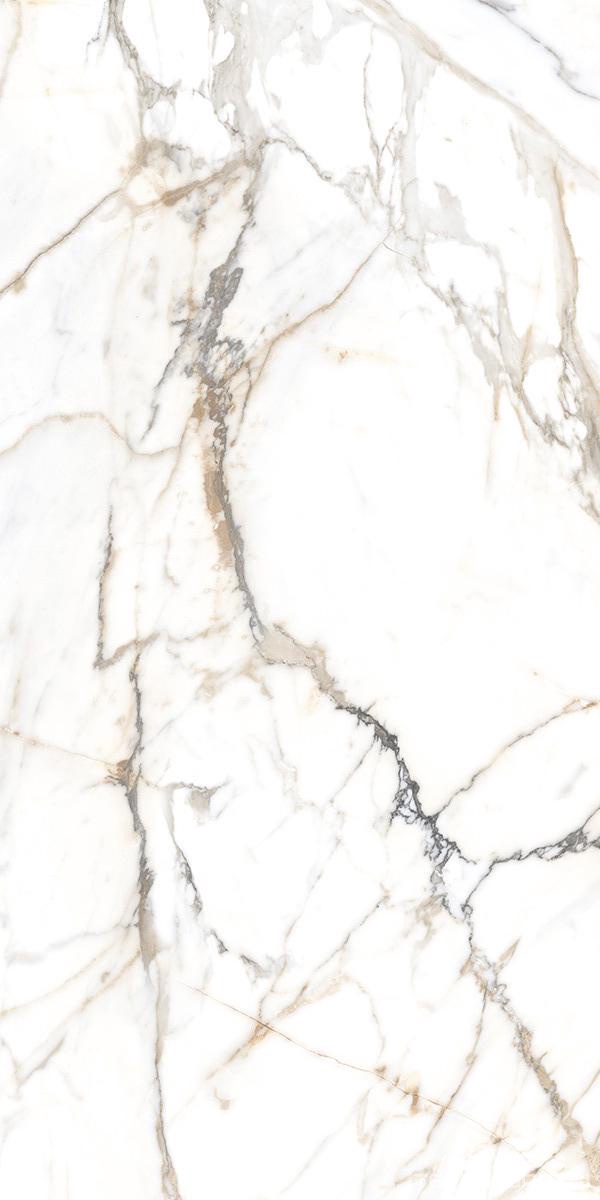 Керамогранит Alpas Euro Eco Marble 6582 Polished 60x120 Белый, фото 4
