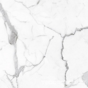 Керамогранит Alpas Euro Eco Marble  6291 Polished 60x60 Белый 