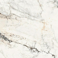 AE PAO6 120 LP (п.п.)ZZ |120x120