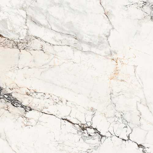 AE PAO6 120 LP (п.п.)ZZ |120x120
