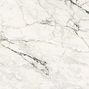 Керамогранит La Faenza Aesthetica AE PAO6 120 LP (п.п.)ZZ 120x120 Белый 