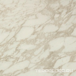 Marvel Royal Calacatta Lappato  ZZ 60x60