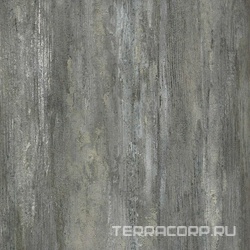 Old Tjikko 42x42