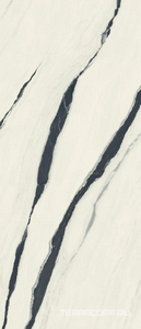 Керамогранит AtlasConcorde Россия FORTE DEI MARMI F.d.M. Panda White 120x278 Lapp/Ф.Д.М. Панда Вайт 120x278 Лап Белый 