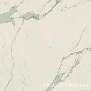 Керамогранит AtlasConcorde Россия EMPIRE Empire Statuario Rett 80x80/ЭМПАИР СТАТУАРИО РЕТ 80x80 XX Белый 