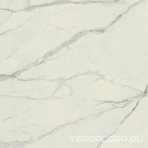Керамогранит AtlasConcorde Россия EMPIRE Empire Statuario Rett 80x80/ЭМПАИР СТАТУАРИО РЕТ 80x80 XX Белый 