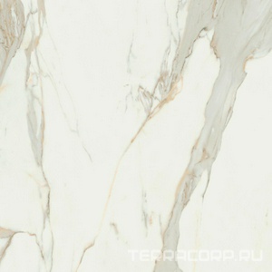 Керамогранит Pamesa Calacata Gold   leviglass 120x120 Rec. Белый 