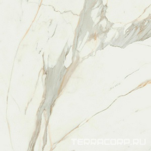 Керамогранит Pamesa Calacata Gold   leviglass 120x120 Rec. Белый 