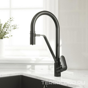 Смеситель для кухни  с с каналом для питьевой воды и гибким изливом, цв.черный излив AMPM Like F8007822